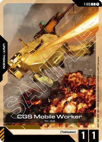 CGS Mobile Worker Token (T-015) card